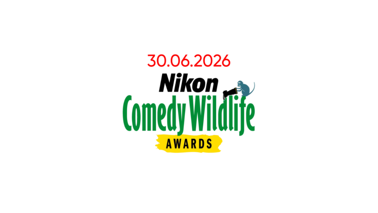  Comedy Wildlife — конкурс смешной фотографии дикой природы