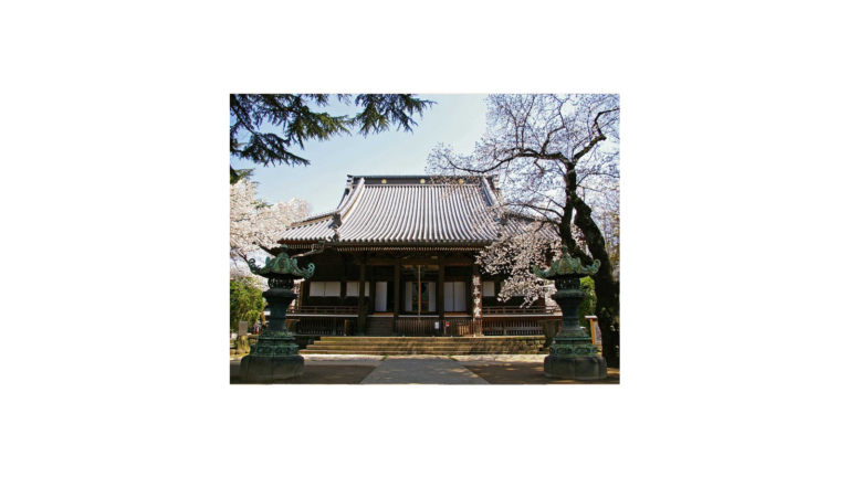 Traditional Japanese temple with a tiled roof framed by blooming cherry blossom trees and two ornate stone lanterns at the front, set against a clear sky.